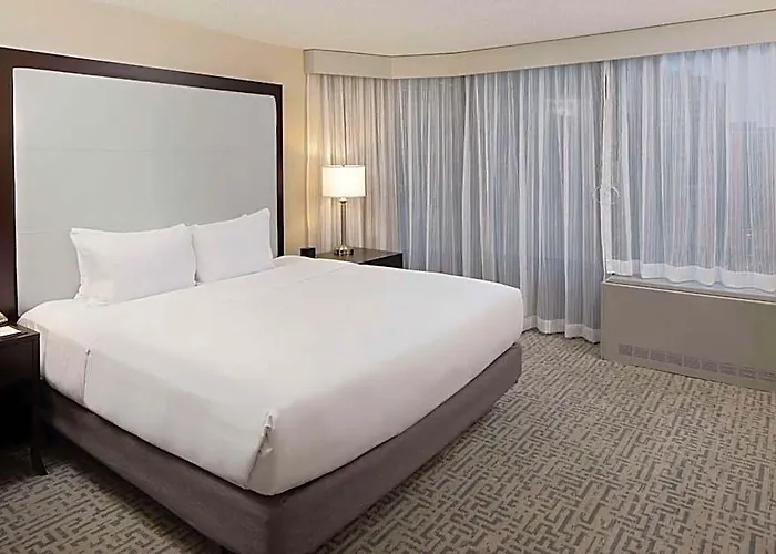 Hotel Doubletree By Hilton Magnificent Mile 4*